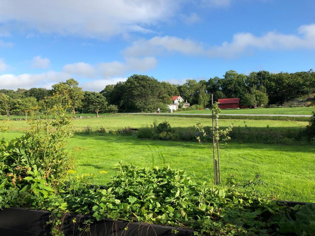 Mysig Nybyggd Stuga Naera Hav Och Natur Klovedal Exteriér fotografie